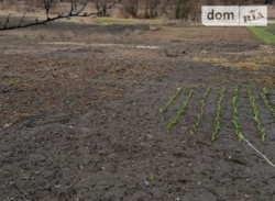 Продается дом Сумская, Сумы, Песчаное, Н- Песчаное, ул. Школьная, 44 фото 3 Продается дом Сумская, Сумы, Песчаное, Н- Песчаное, ул. Школьная, 44 фото 3