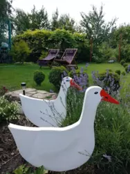 ��������� ��� �/� ���� �����, ����, ������� ���� 1