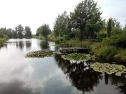 Продается дом Сумская, Сумский, Старое село, ОСК Красносільський фото 5 Продается дом Сумская, Сумский, Старое село, ОСК Красносільський фото 5