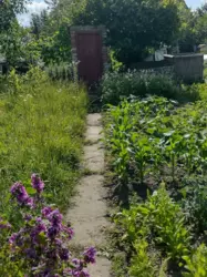 Продается дом Сумская, Сумский, Новоселица, с/т Хімік-2 фото 14 Продается дом Сумская, Сумский, Новоселица, с/т Хімік-2 фото 14