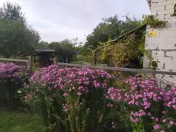 Продается дом Сумская, Сумы, Ковпаковский, Білопільський Шлях р-н водоканалу фото 1 Продается дом Сумская, Сумы, Ковпаковский, Білопільський Шлях р-н водоканалу фото 1