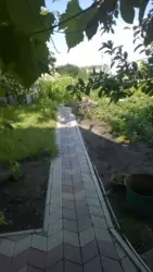 Продается дом Сумская, Сумы, Заречный, Баранівка с/т Озерний фото 5 Продается дом Сумская, Сумы, Заречный, Баранівка с/т Озерний фото 5