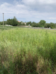 Продается дом Сумская, Сумы, Ковпаковский, Веретенівська вул. фото 5 Продается дом Сумская, Сумы, Ковпаковский, Веретенівська вул. фото 5