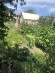 Продается дом Сумская, Сумы, ул.Семьи Лентваревых 55 фото 5 Продается дом Сумская, Сумы, ул.Семьи Лентваревых 55 фото 5