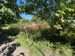 Продается дом Сумская, Сумы, Ковпаковский, Привокзальна / стадіон Барса фото 7 Продается дом Сумская, Сумы, Ковпаковский, Привокзальна / стадіон Барса фото 7