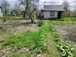 дачна ділянка на Білопільській фото 3 дачна ділянка на Білопільській фото 3