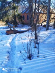 Продается дом Сумская, Сумский фото 2 Продается дом Сумская, Сумский фото 2