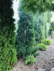 Продается дом вул. І Багряного / р-н Тимірязівка, Сумы, Сумская, Ковпаковский фото 15 Продается дом вул. І Багряного / р-н Тимірязівка, Сумы, Сумская, Ковпаковский фото 15