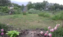 Продается дом Білопільський шлях с/т Фрунзенець, Сумы, Сумская, Ковпаковский фото 1 Продается дом Білопільський шлях с/т Фрунзенець, Сумы, Сумская, Ковпаковский фото 1