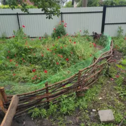 Продается дом Сумская, Сумы, Заречный, Баранівка зразу за мостом фото 8 Продается дом Сумская, Сумы, Заречный, Баранівка зразу за мостом фото 8