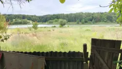 ��������� ��� ������, �������, ������� ���� 11