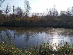 Продается дом Сумская, Сумский, Кровное фото 2 Продается дом Сумская, Сумский, Кровное фото 2