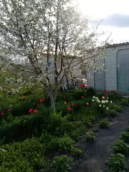   , , , -86, / , .10  3