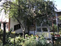 Продается дом Сумская, Сумы, Басы-Химик фото 6 Продается дом Сумская, Сумы, Басы-Химик фото 6