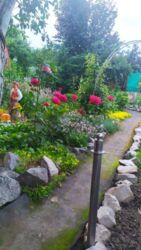 Продается дом Сумская, Сумский, Красное фото 7 Продается дом Сумская, Сумский, Красное фото 7