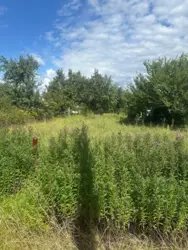 Продается дом Сумская, Сумы, Ковпаковский, Білопільський шлях с/т Фрунзенець фото 2 Продается дом Сумская, Сумы, Ковпаковский, Білопільський шлях с/т Фрунзенець фото 2