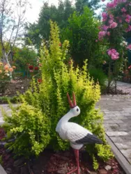 Продается дом Сумская, Сумы, Ковпаковский, за Косівщиною фото 11 Продается дом Сумская, Сумы, Ковпаковский, за Косівщиною фото 11