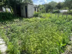 Продается дом Сумская, Сумы, Заречный, с/т Чисті пруди фото 4 Продается дом Сумская, Сумы, Заречный, с/т Чисті пруди фото 4