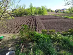 Продается дом Степановка, Сумский, Сумская фото 8 Продается дом Степановка, Сумский, Сумская фото 8