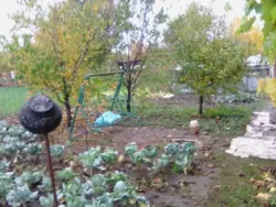 Продается дом Сумская, Сумский, Новоселица фото 6 Продается дом Сумская, Сумский, Новоселица фото 6