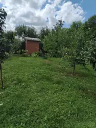 ��������� ��� ��������, �������, ������� ���� 8