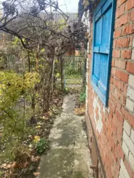 ��������� ��� �������, ����, ��������, ��������� ���� 3