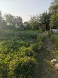 Продается дом Сумская, Сумы, Заречный, с/т Озерний НЕМ фото 13 Продается дом Сумская, Сумы, Заречный, с/т Озерний НЕМ фото 13