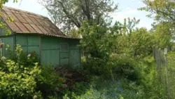 ��������� ��� ������������ ����� �/� ����������, ����, �������, ������������ ���� 5