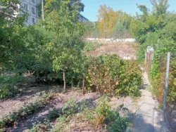 ��������� ��� ���, ����, �������, ������������ ���� 6