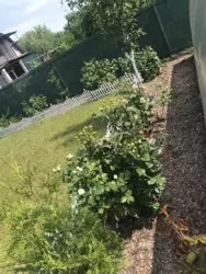 Продается дом Сумская, Сумы, Ковпаковский, за Косівщиною фото 15 Продается дом Сумская, Сумы, Ковпаковский, за Косівщиною фото 15