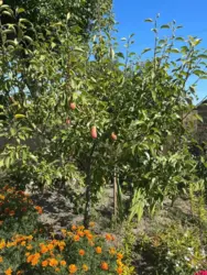 ��������� ��� �������, ����, ��������, �����, ��� ������ �/� ���-1 ���� 10