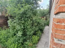 Продается дом Сумская, Сумы, Заречный, с/т Озерний НЕМ фото 6 Продается дом Сумская, Сумы, Заречный, с/т Озерний НЕМ фото 6