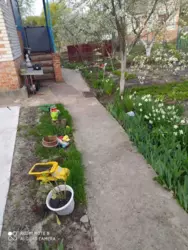   , , , -86, / , 47-  4