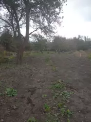 Продается дом Сумская, Сумы, Заречный, Баранівка с/т Енергетик-2 фото 2 Продается дом Сумская, Сумы, Заречный, Баранівка с/т Енергетик-2 фото 2