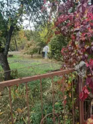 Продается дом Хімік с/т Строітель-1, Сумы, Сумская, Заречный фото 8 Продается дом Хімік с/т Строітель-1, Сумы, Сумская, Заречный фото 8