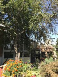 Продается дом Сумская, Сумы, Басы-Химик фото 4 Продается дом Сумская, Сумы, Басы-Химик фото 4