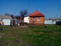 Продается дом Сумская, Сумский, Севериновка, вул.Шевченка, 8 фото 14 Продается дом Сумская, Сумский, Севериновка, вул.Шевченка, 8 фото 14