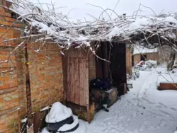 ��������� ��� ��������� ����� ������ , ���. ����� ������, 13, ����, �������, �������� ���� 7