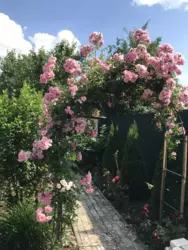 Продается дом Сумская, Сумы, Ковпаковский, за Косівщиною фото 14 Продается дом Сумская, Сумы, Ковпаковский, за Косівщиною фото 14