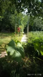 Продается дом Сумская, Сумы, Баранівка фото 4 Продается дом Сумская, Сумы, Баранівка фото 4