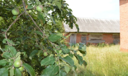 Продается дом Сумская, Сумский, Стецьковка фото 7 Продается дом Сумская, Сумский, Стецьковка фото 7