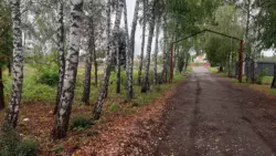 Продается дом Сумская, Сумский, Косовщина фото 3 Продается дом Сумская, Сумский, Косовщина фото 3