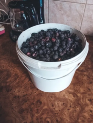 Продается дом Сумская, Сумы фото 6 Продается дом Сумская, Сумы фото 6