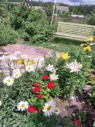 Продается дом Барановка, Сумы, Сумская фото 8 Продается дом Барановка, Сумы, Сумская фото 8