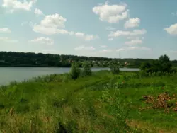 Продается дом Сумская, Сумы, Рибгосп фото 6 Продается дом Сумская, Сумы, Рибгосп фото 6