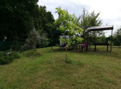 Продается дом Сумская, Сумский фото 12 Продается дом Сумская, Сумский фото 12