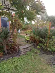 Продается дом Сумская, Сумы, Заречный, Олдыш с/т Роддом фото 3 Продается дом Сумская, Сумы, Заречный, Олдыш с/т Роддом фото 3