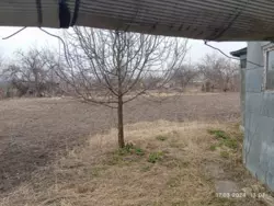 ��������� ��� ������, �������, ������� ���� 8