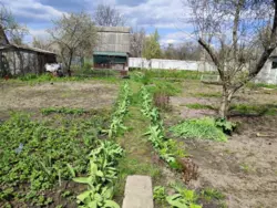 дачна ділянка на Білопільській фото 2 дачна ділянка на Білопільській фото 2