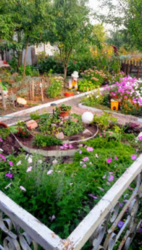 Продается дом Сумская, Сумы, Заречный, Барановке фото 19 Продается дом Сумская, Сумы, Заречный, Барановке фото 19